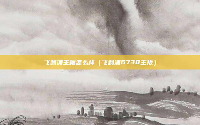 飞利浦主板怎么样（飞利浦6730主板）