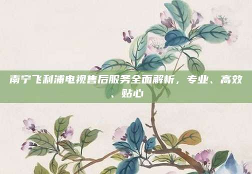 南宁飞利浦电视售后服务全面解析，专业、高效、贴心