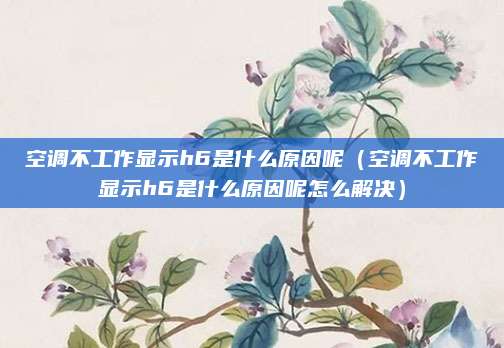 空调不工作显示h6是什么原因呢（空调不工作显示h6是什么原因呢怎么解决）