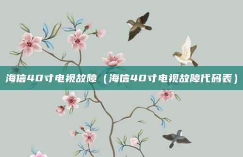 海信40寸电视故障（海信40寸电视故障代码表）