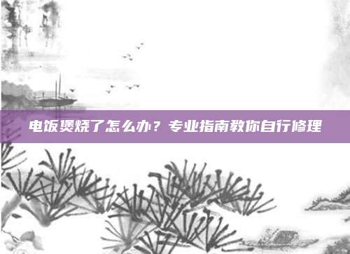 电饭煲烧了怎么办？专业指南教你自行修理