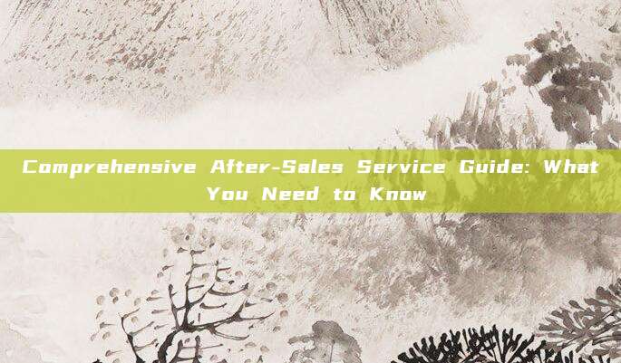 Comprehensive After-Sales Service Guide: What You Need to Know