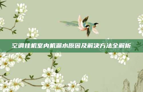空调挂机室内机漏水原因及解决方法全解析