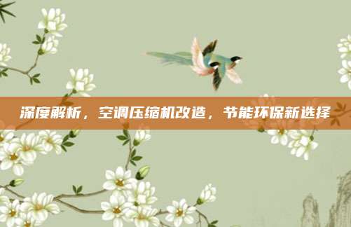 深度解析，空调压缩机改造，节能环保新选择