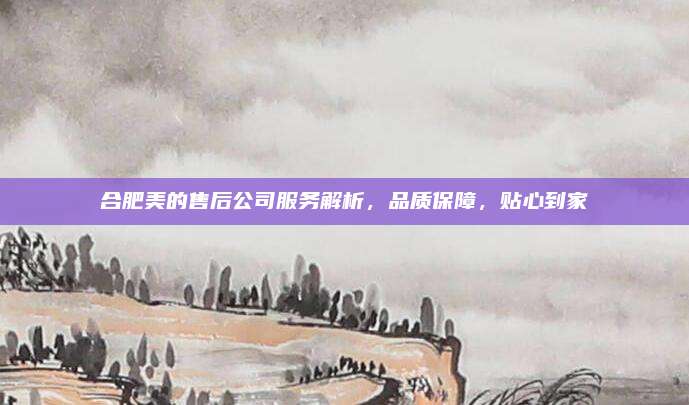 合肥美的售后公司服务解析，品质保障，贴心到家