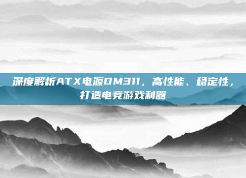 深度解析ATX电源DM311，高性能、稳定性，打造电竞游戏利器