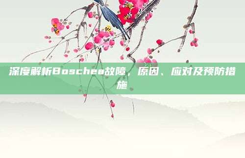 深度解析Boschea故障,原因、应对及预防措施