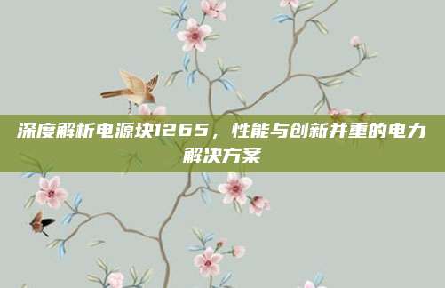 深度解析电源块1265，性能与创新并重的电力解决方案