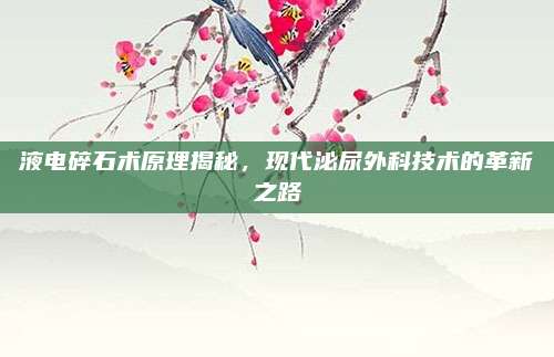 液电碎石术原理揭秘,现代泌尿外科技术的革新之路