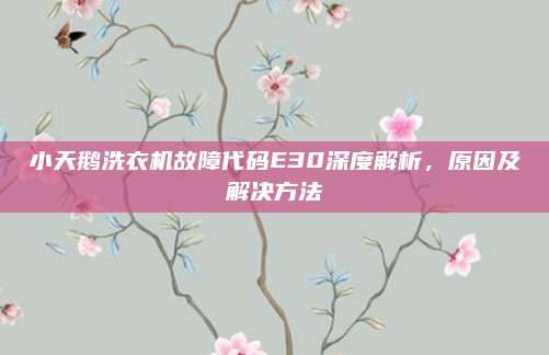 小天鹅洗衣机故障代码E30深度解析,原因及解决方法