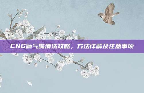 CNG喷气嘴清洗攻略，方法详解及注意事项