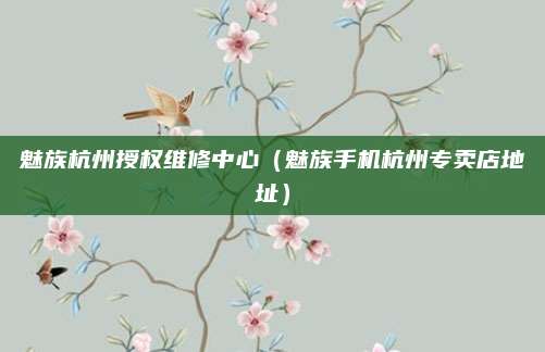 魅族杭州授权维修中心（魅族手机杭州专卖店地址）