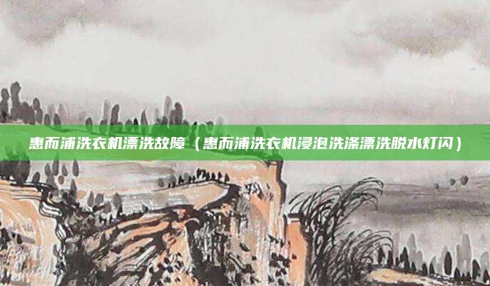 惠而浦洗衣机漂洗故障（惠而浦洗衣机浸泡洗涤漂洗脱水灯闪）