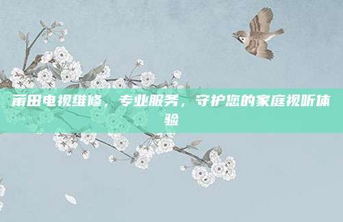 莆田电视维修，专业服务，守护您的家庭视听体验