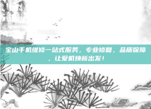 宝山手机维修一站式服务，专业修复，品质保障，让爱机焕新出发！