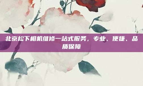北京松下相机维修一站式服务，专业、便捷、品质保障