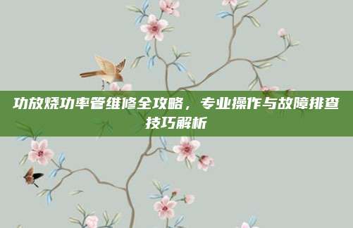 功放烧功率管维修全攻略，专业操作与故障排查技巧解析