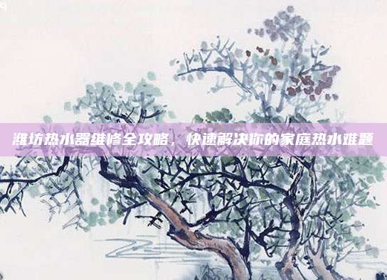 潍坊热水器维修全攻略,快速解决你的家庭热水难题