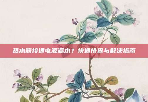 热水器接通电源漏水？快速排查与解决指南