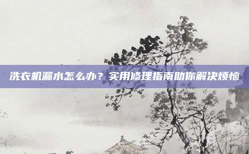 洗衣机漏水怎么办?实用修理指南助你解决烦恼