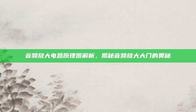 音频放大电路原理图解析,揭秘音频放大大门的奥秘