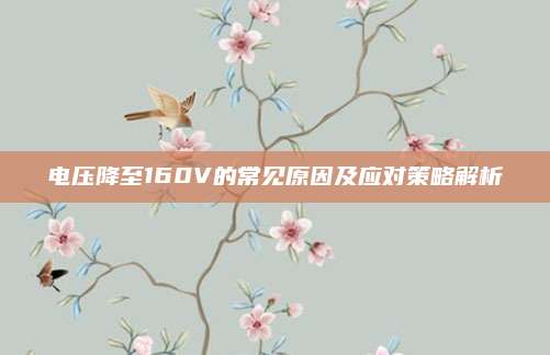 电压降至160V的常见原因及应对策略解析