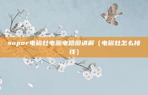 supor电磁灶电源电路图讲解（电磁灶怎么接线）