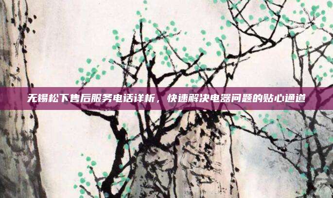 无锡松下售后服务电话详析，快速解决电器问题的贴心通道