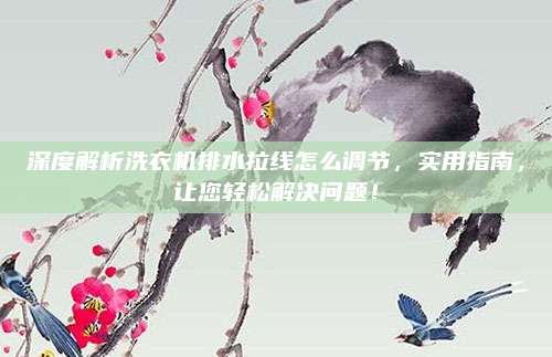 深度解析洗衣机排水拉线怎么调节，实用指南，让您轻松解决问题！
