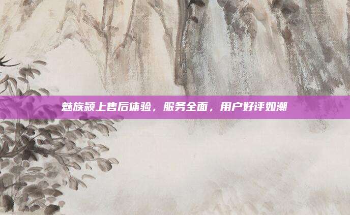 魅族颍上售后体验,服务全面,用户好评如潮