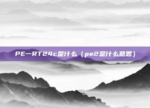 PE一RT24c是什么（pe2是什么意思）