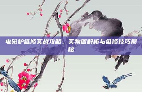 电磁炉维修实战攻略，实物图解析与维修技巧揭秘