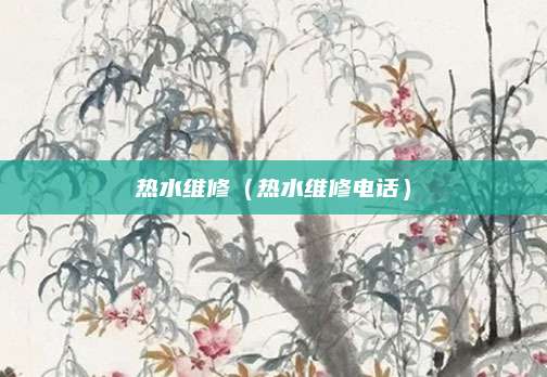 热水维修（热水维修电话）