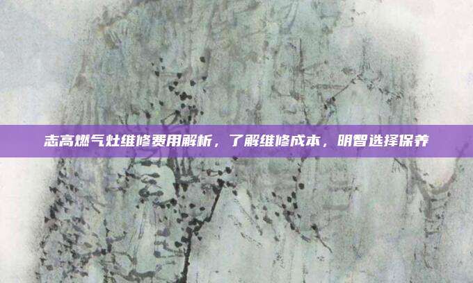 志高燃气灶维修费用解析,了解维修成本,明智选择保养