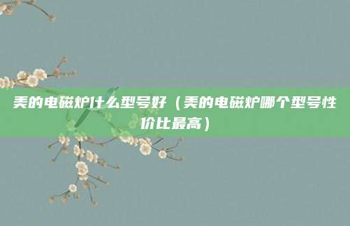 美的电磁炉什么型号好（美的电磁炉哪个型号性价比最高）