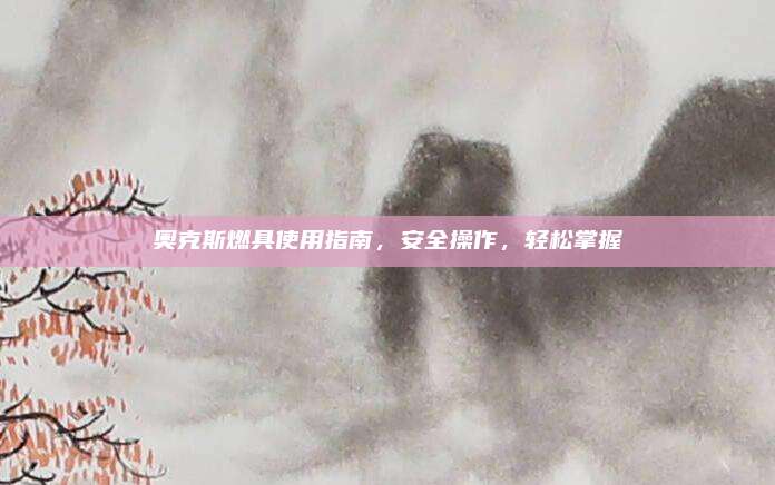 奥克斯燃具使用指南，安全操作，轻松掌握