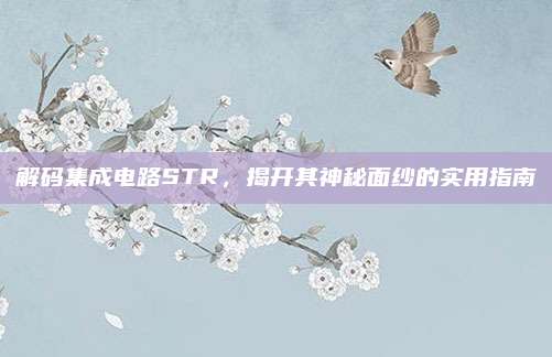 解码集成电路STR，揭开其神秘面纱的实用指南
