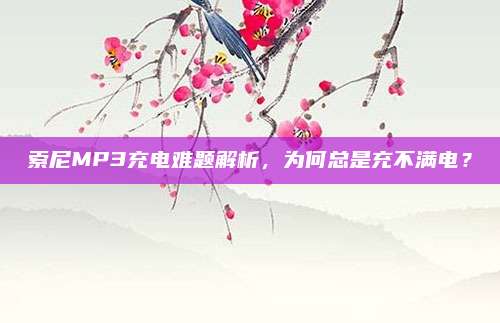 索尼MP3充电难题解析，为何总是充不满电？