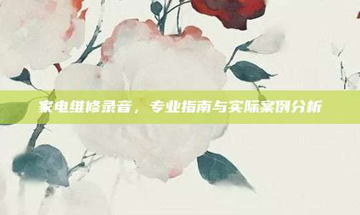 家电维修录音，专业指南与实际案例分析