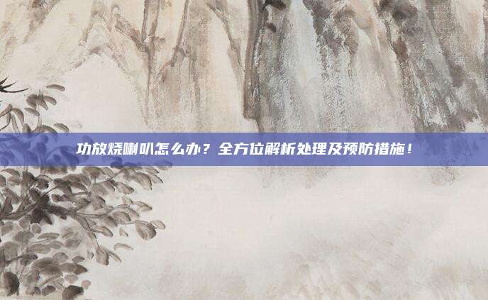 功放烧喇叭怎么办？全方位解析处理及预防措施！