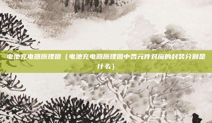 电池充电器原理图（电池充电器原理图中各元件对应的封装分别是什么）