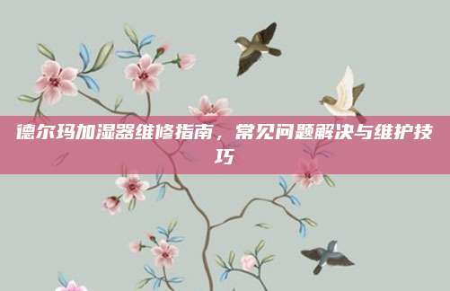 德尔玛加湿器维修指南，常见问题解决与维护技巧