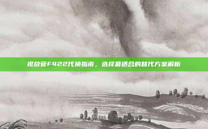 视放菅F422代换指南，选择最适合的替代方案解析