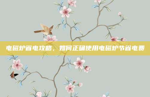 电磁炉省电攻略,如何正确使用电磁炉节省电费