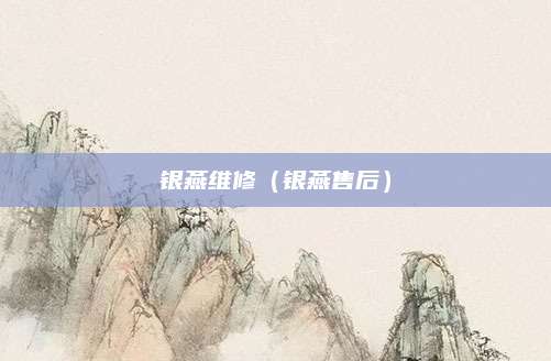 银燕维修（银燕售后）