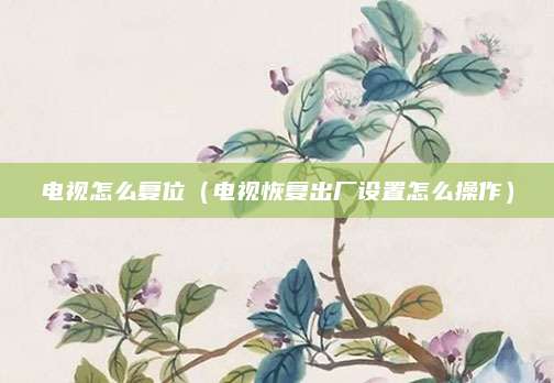 电视怎么复位(电视恢复出厂设置怎么操作)