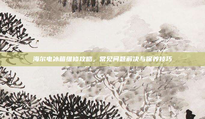海尔电冰箱维修攻略，常见问题解决与保养技巧