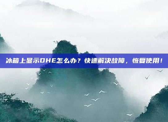 冰箱上显示DHE怎么办？快速解决故障，恢复使用！