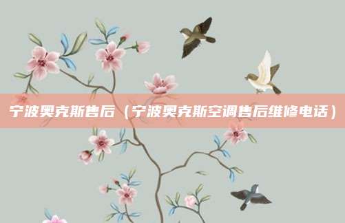 宁波奥克斯售后(宁波奥克斯空调售后维修电话)