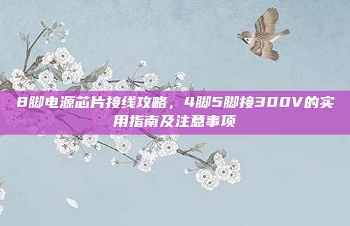 8脚电源芯片接线攻略，4脚5脚接300V的实用指南及注意事项